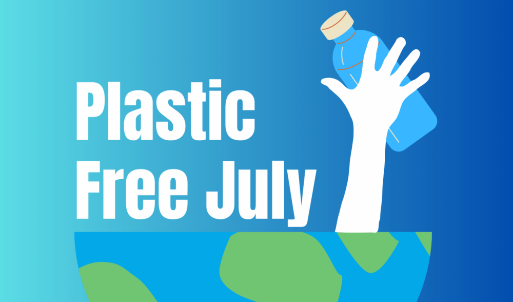 Place Group does Plastic Free July